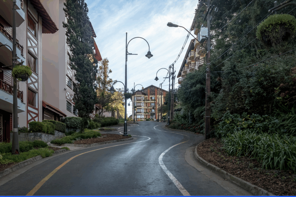 rua coberta em gramado