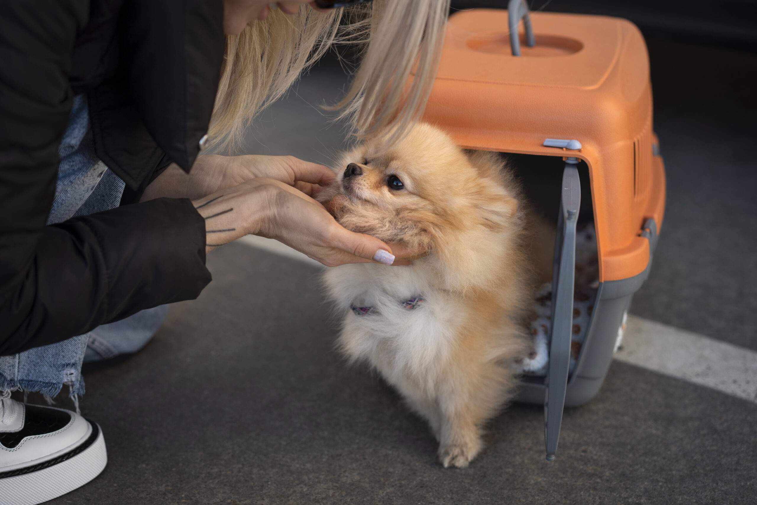 hotel pet friendly em gramado, na Serra Gaúcha